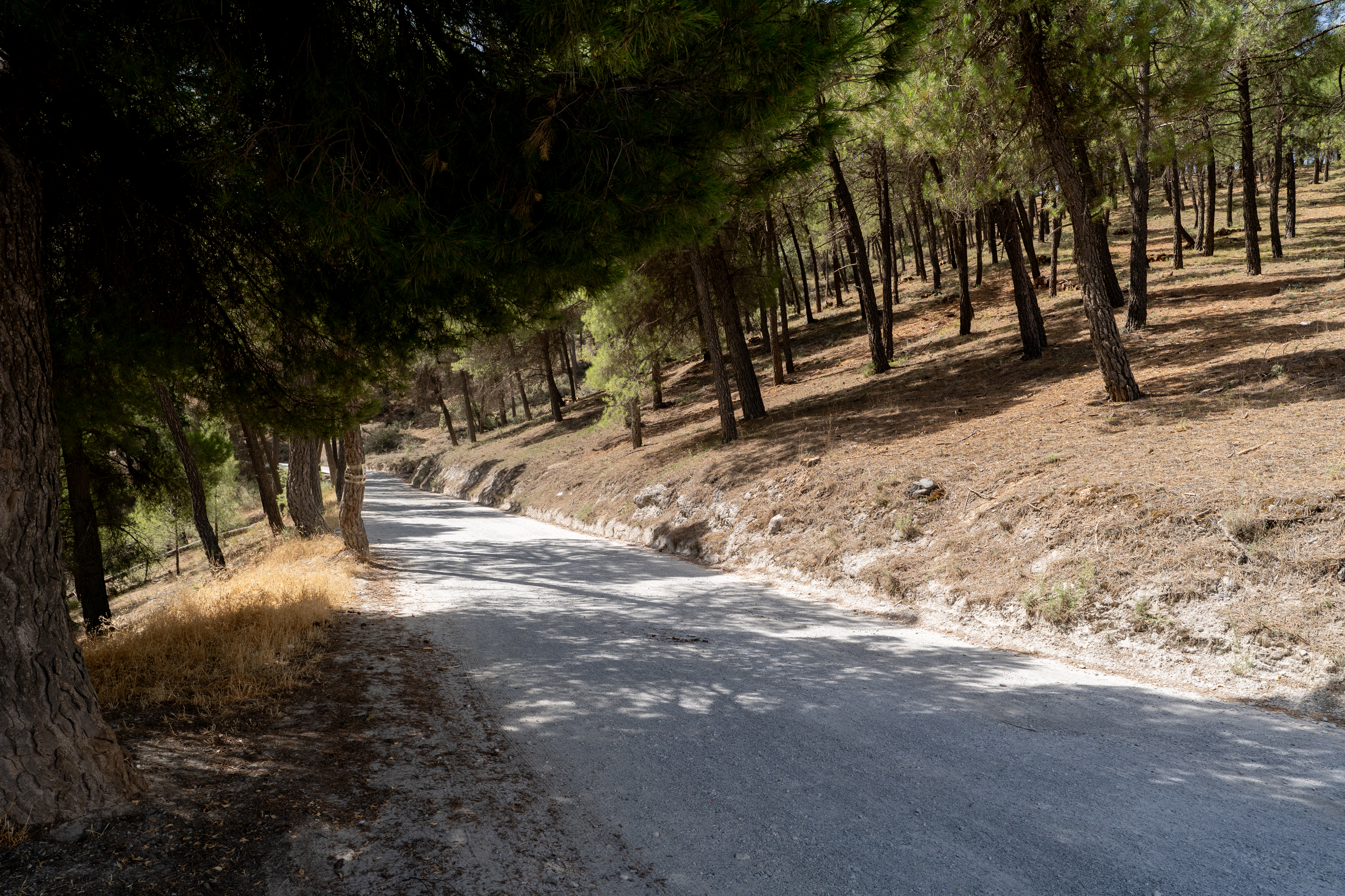 VILLA CONTEMPOR�NEA EN EL PARQUE NATURAL DE SIERRA NEVADA